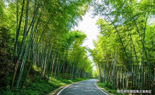 湖州 售楼处电话 新楼盘动态 售楼处位置 详
